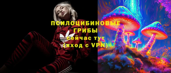 меф Белокуриха